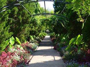 checkwood botanical garden